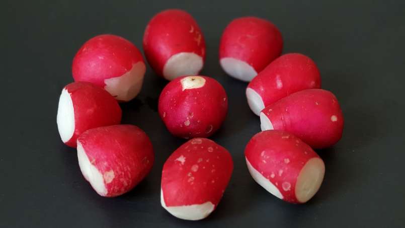 Ridichea - stebuklingas vaistas, nuotrauka 2