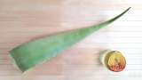 Aloe vera ir medaus ekstraktas - Paruošti ne 1