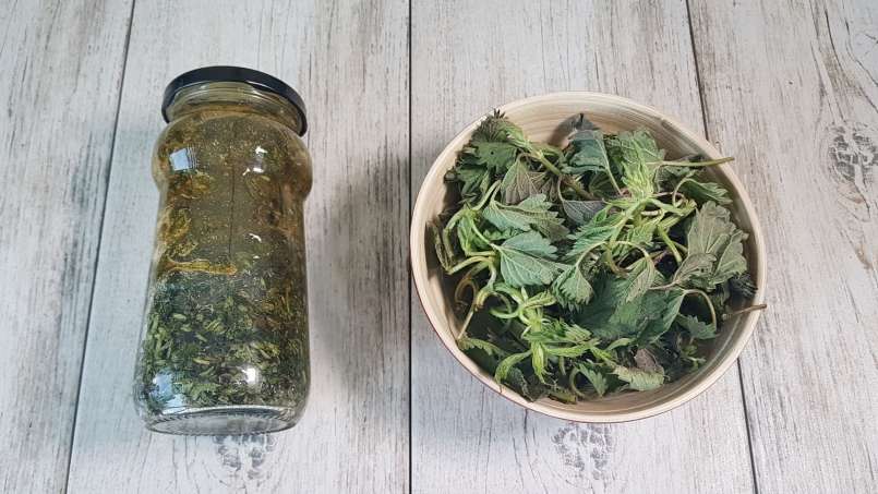 Dilgėlių sirupas su medumi, nuotrauka 6