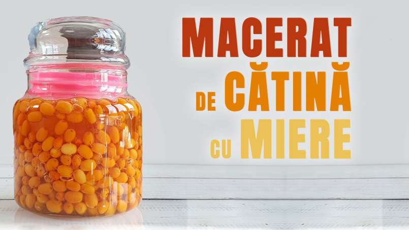 Medumi pagardintas šaltalankių maceratas, nuotrauka 1