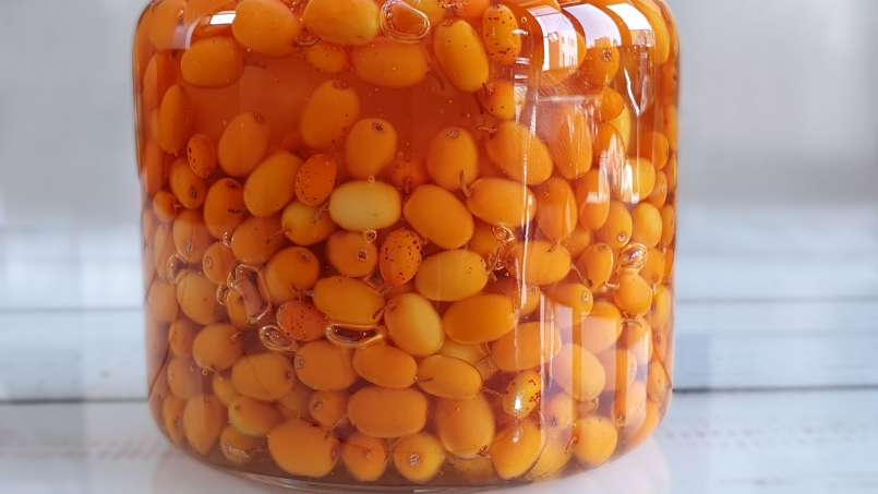 Medumi pagardintas šaltalankių maceratas, nuotrauka 5