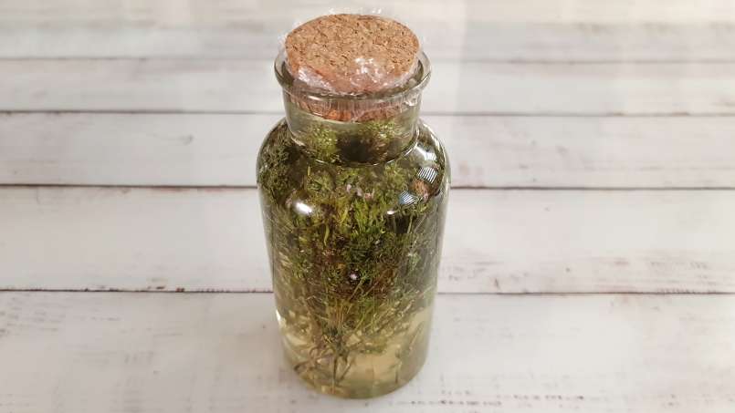 Čiobrelių maceratas su medumi, nuotrauka 6