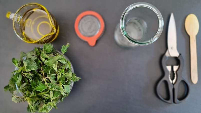 Dilgėlių aliejus, gautas perpylimo būdu, nuotrauka 2