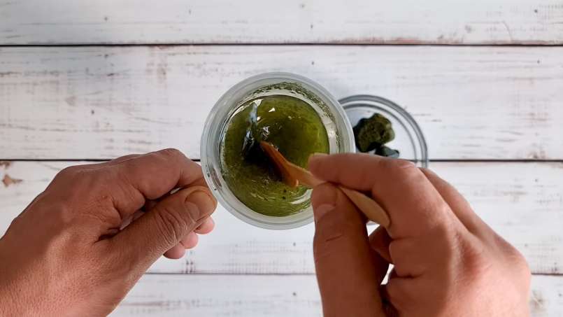 Šaldytų dilgėlių sulčių ledo kubeliai, nuotrauka 11