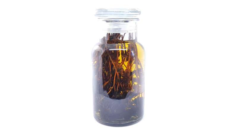 Čiobrelių tinktūra, nuotrauka 2