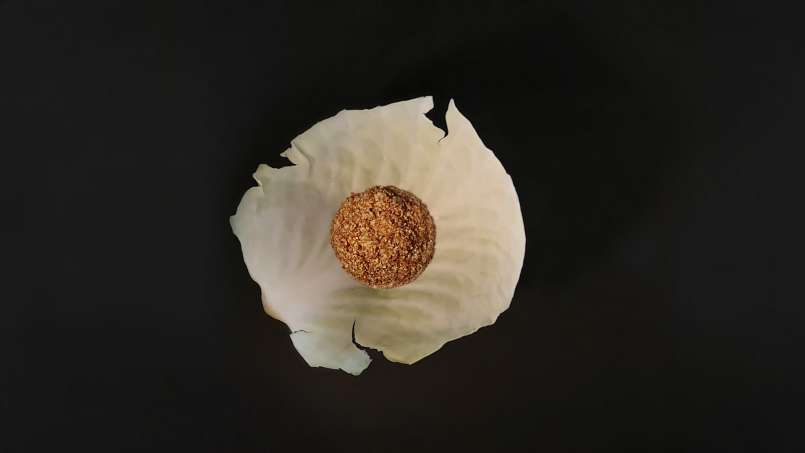 Vaistas su lojais ir kopūstų lapais, nuotrauka 9