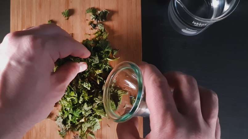 Dilgėlių tinktūra, nuotrauka 2