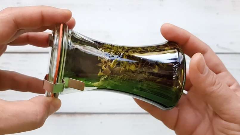 Dilgėlių tinktūra, nuotrauka 3