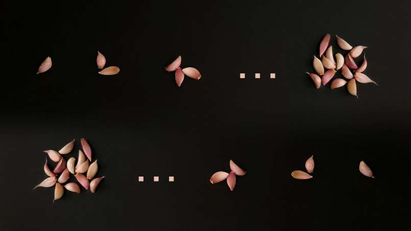 Visas česnakas ryte ant tuščio skrandžio, nuotrauka 1