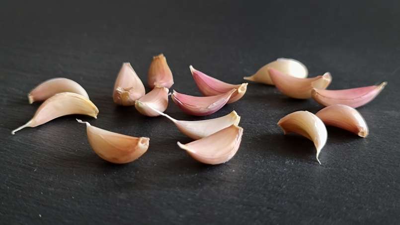 Visas česnakas ryte ant tuščio skrandžio, nuotrauka 11