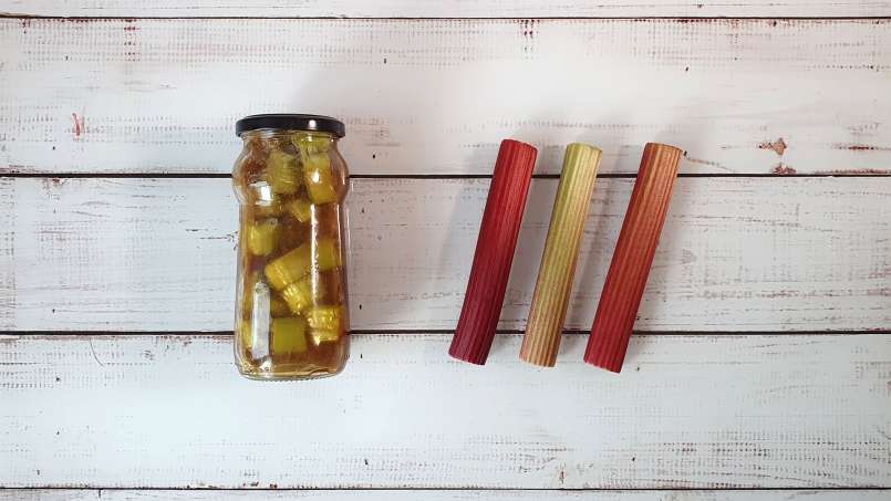 Rabarbarų maceratas su medumi ir imbieru, nuotrauka 3