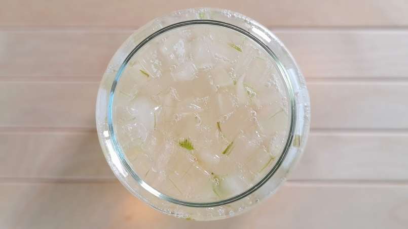 Aloe vera ir medaus ekstraktas, nuotrauka 4